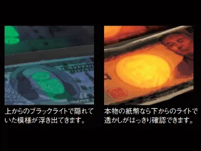 レイチェッカーD